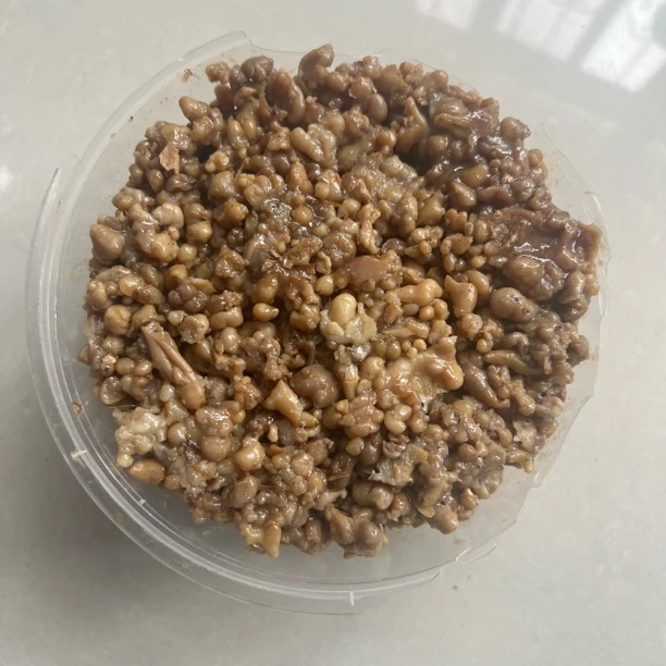 阿魏阿勒泰香阿魏野生手工采摘保证真品鱼饵