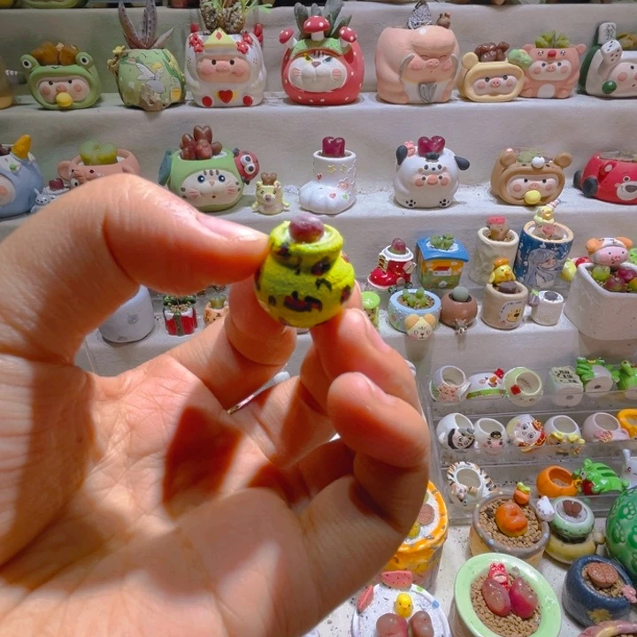 020高端多肉带盆土一套23