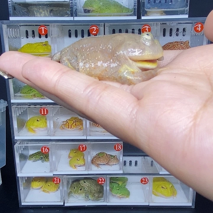 特价秒杀活动哇哇