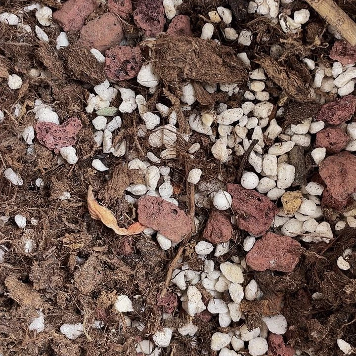 法师专用养护01号