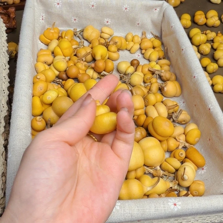 随**安不要太辛苦啊宝好吧那