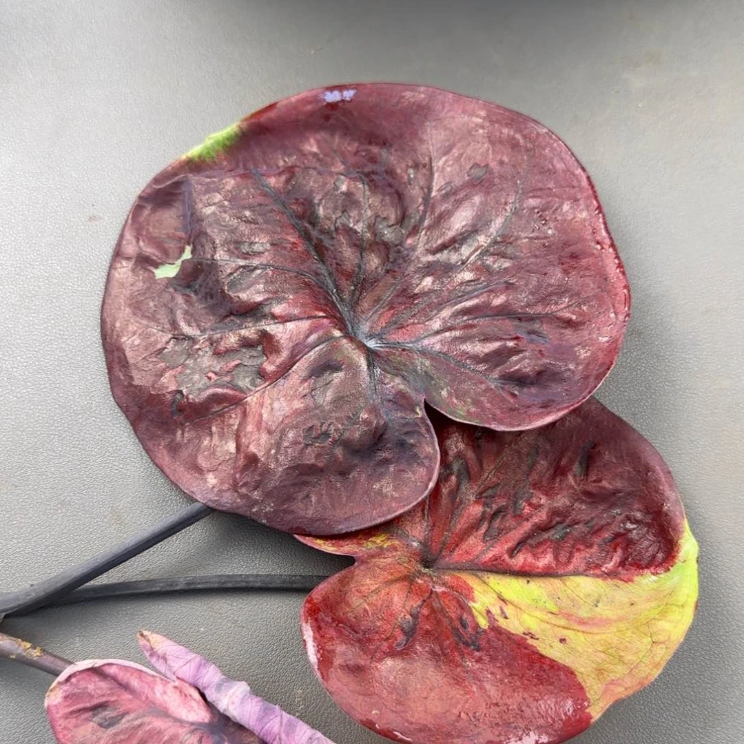 220-1020广东发货紫碗