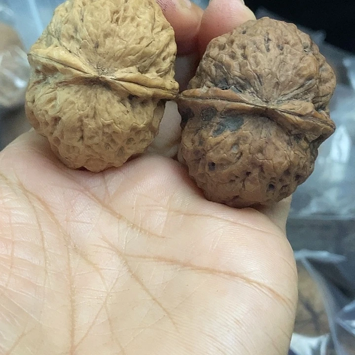 木质类云南铁核桃基地76