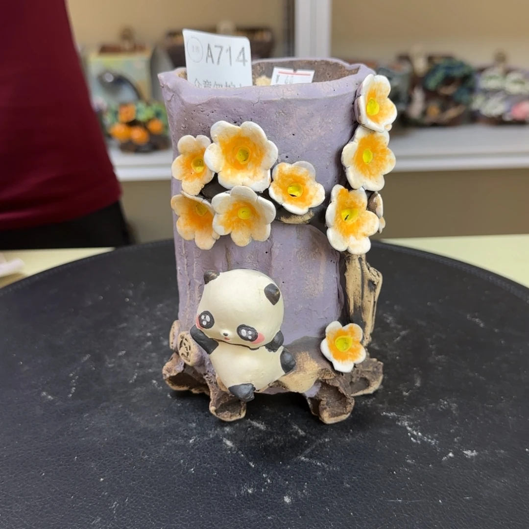 A714 【闪购】多肉花盆