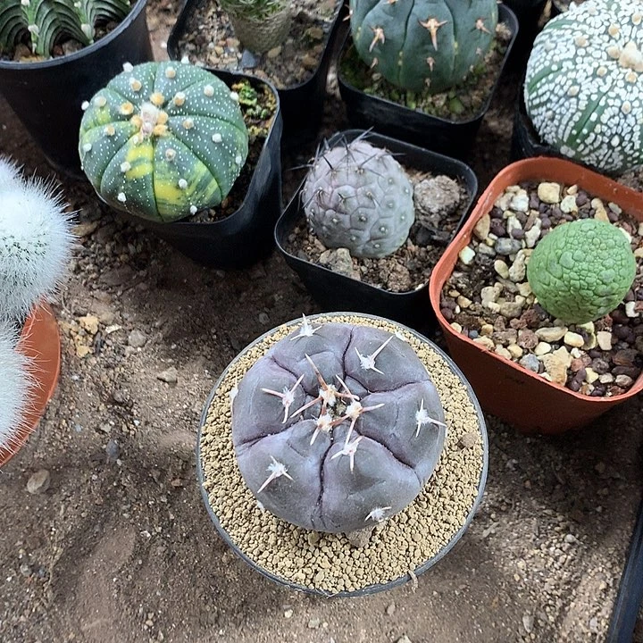 小*涵333333333333333