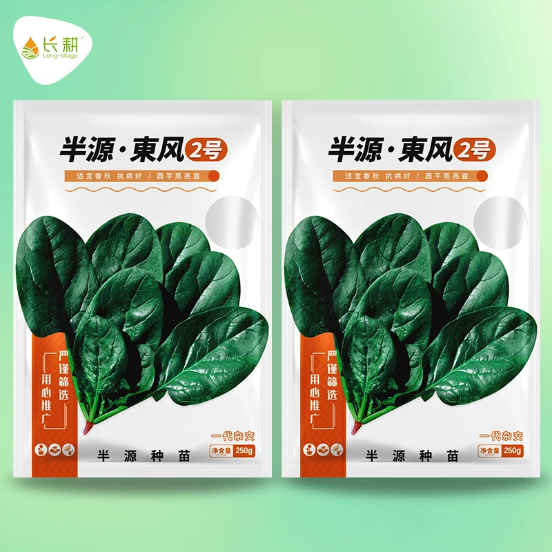 进口半源东风圆叶菠菜种子纵贯线耐热耐寒春秋播黑亮柔韧蔬菜种孑