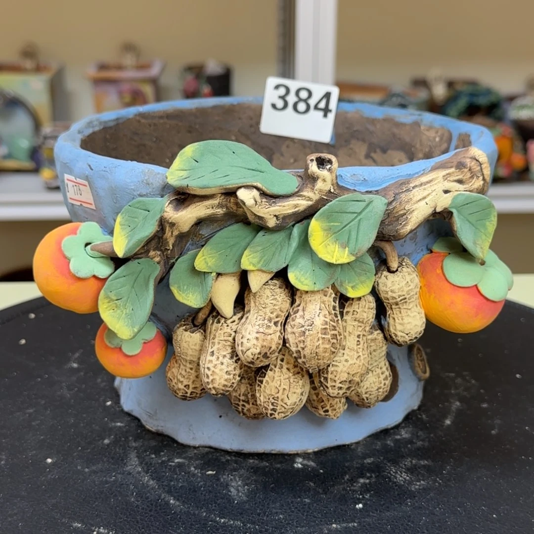 384 【闪购】多肉花盆