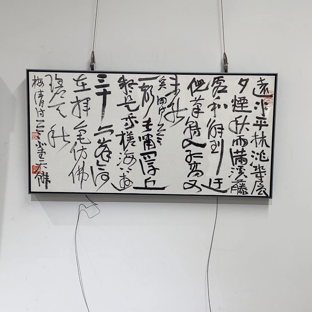 书法半醒斋书法作品