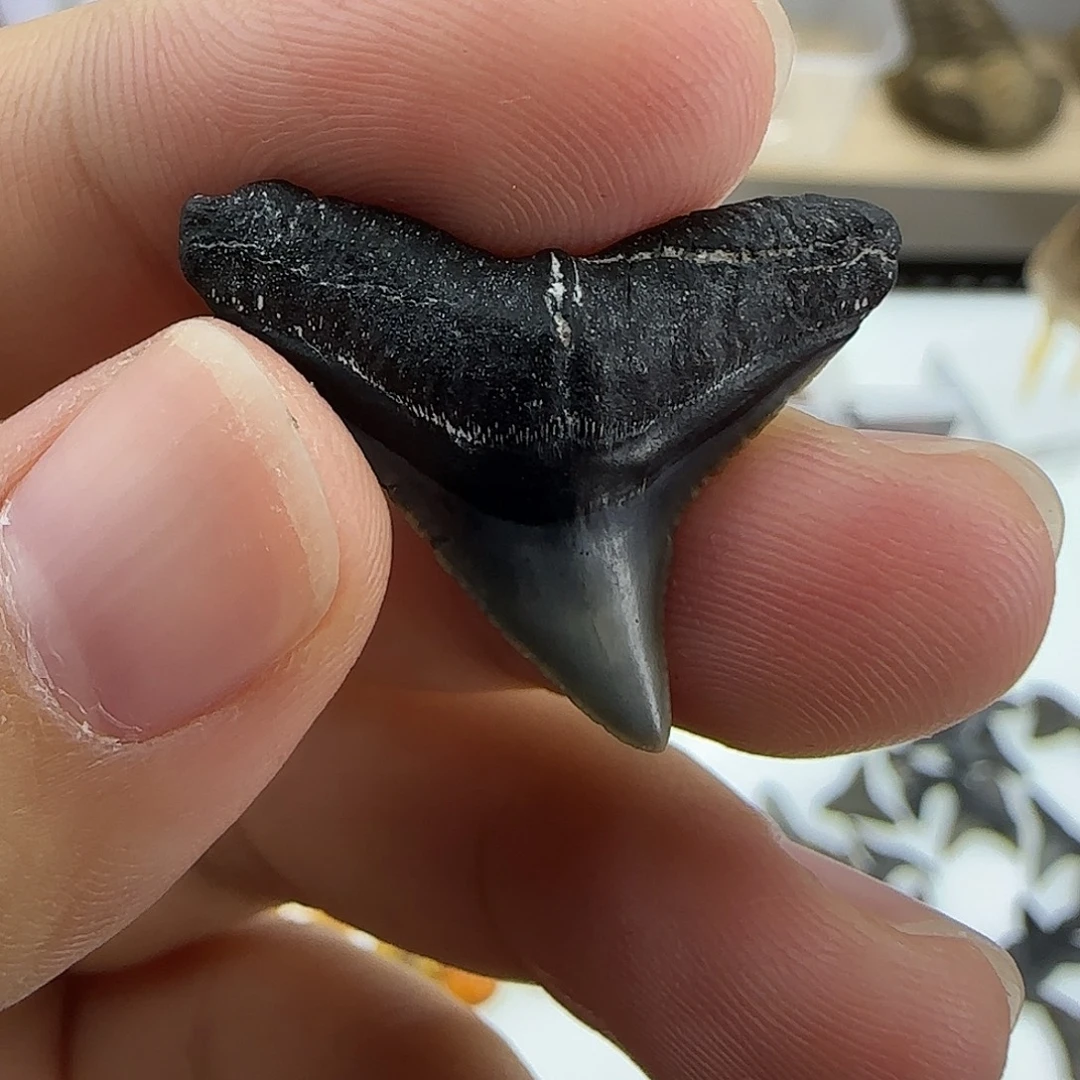 琉璃/树脂/塑料类