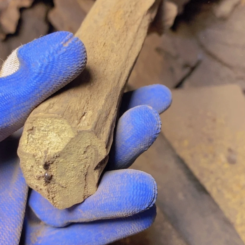 【闪购商品】贡木把件俗**俗定制定制新款