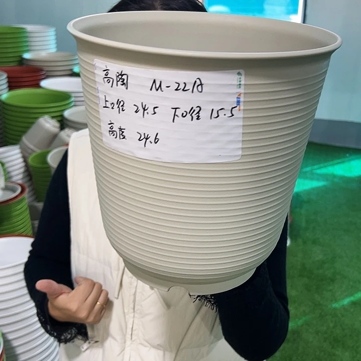 正品高陶口24高24米色无托5只