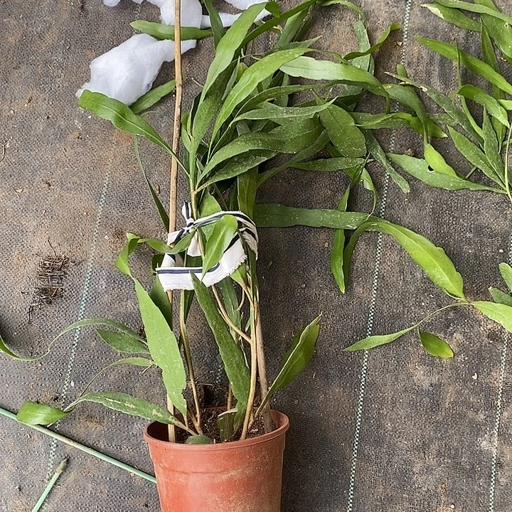 有***风完全开放是谁说这不是