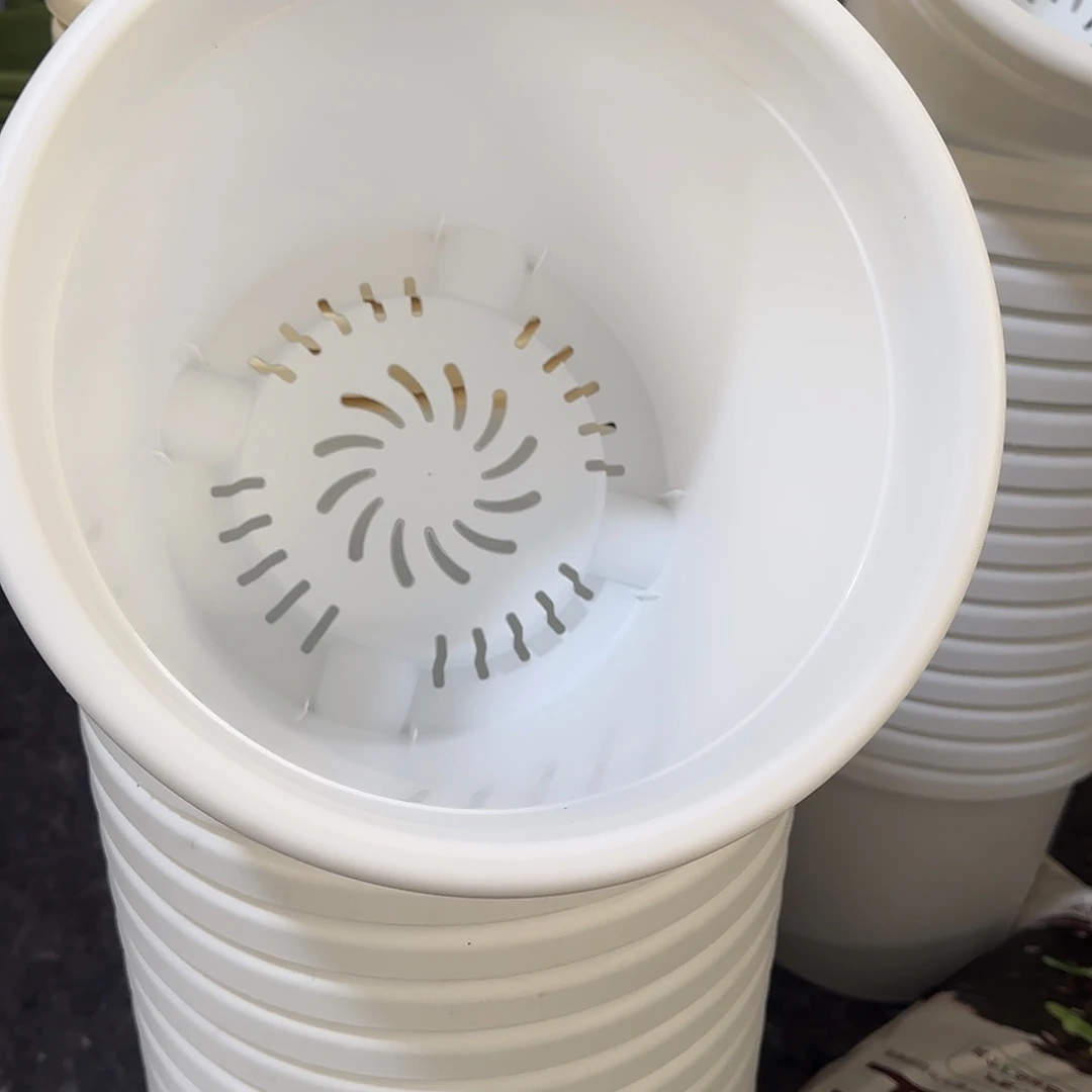 树脂四季8号2个，5号3个，白，微瑕