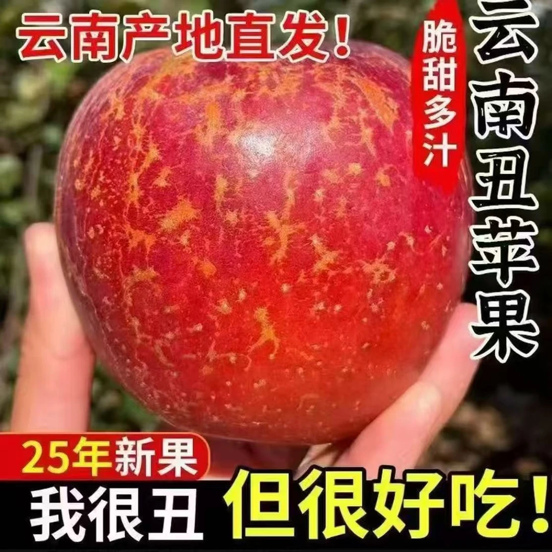 云南昭通高原苹果脆甜多汁新鲜应季水果原产地直发，3/5/10斤包邮