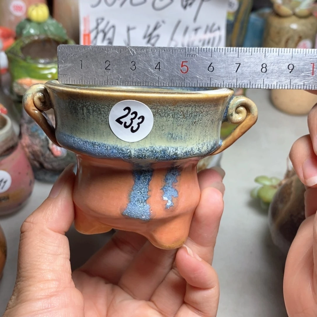 拍5送一个小礼物