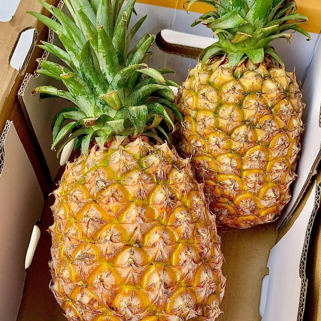 菠萝一个两斤左右