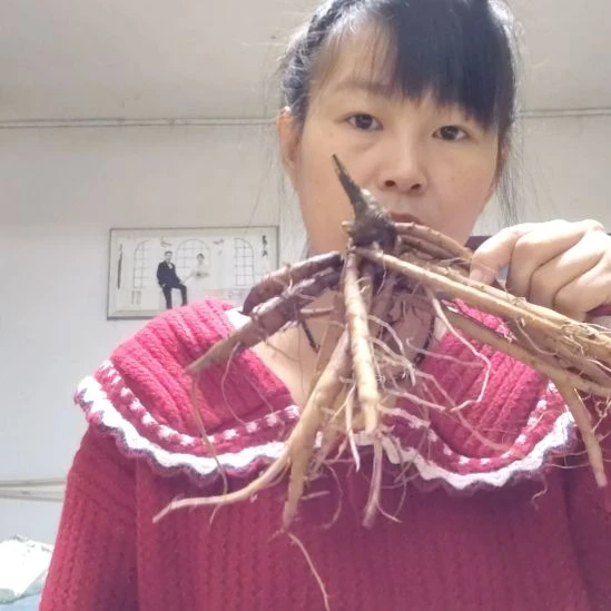 完全开放红色魅力