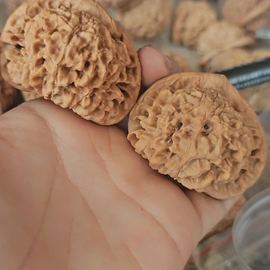 文玩核桃吊坠50龙鼎管帽