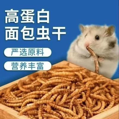 优质面包虫干仓鼠鹦鹉乌龟等宠物营养饲料(2500克约20000ml)