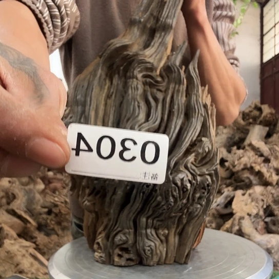 我*紫砂噜啦啦啦啦啦啦