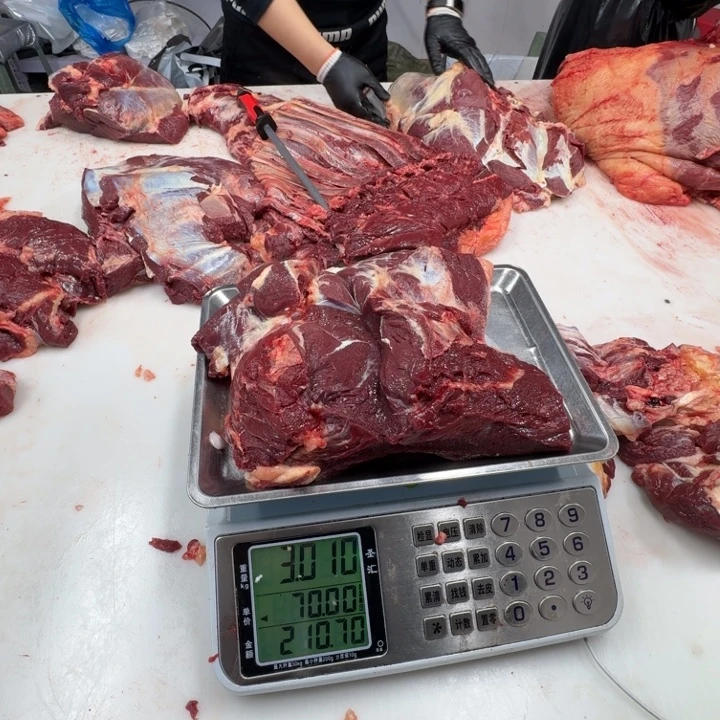 W***y12个月中国大陆马腿肉