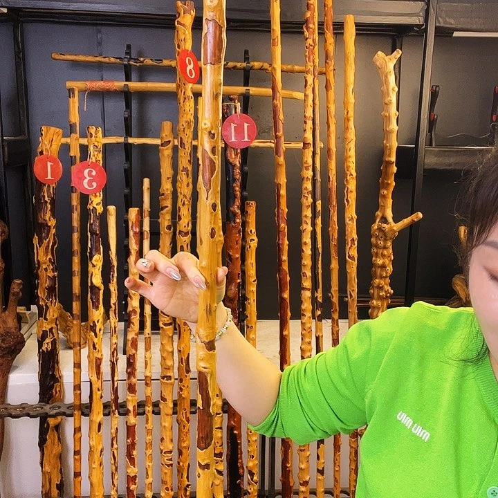 种****住好好好好看好好好