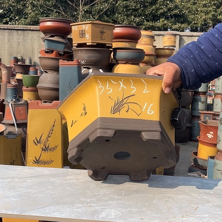 紫砂紫砂花盆盆栽