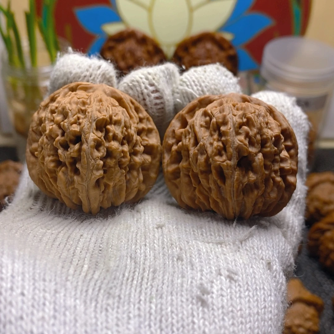 核桃42尺48克熊儿寨一代楼