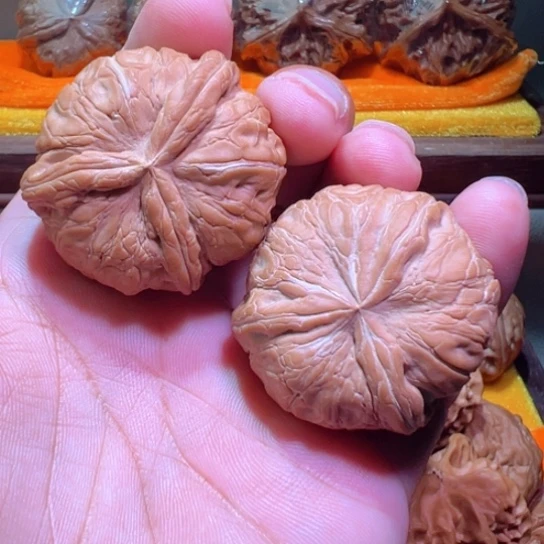 开角好全品平谷元宝人字三棱