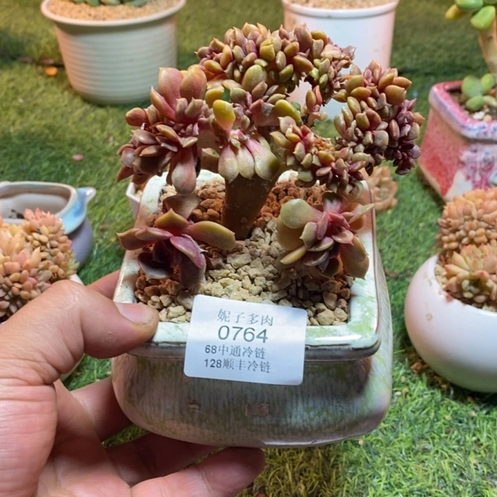 0764啊啊啊啊啊啊啊啊啊啊