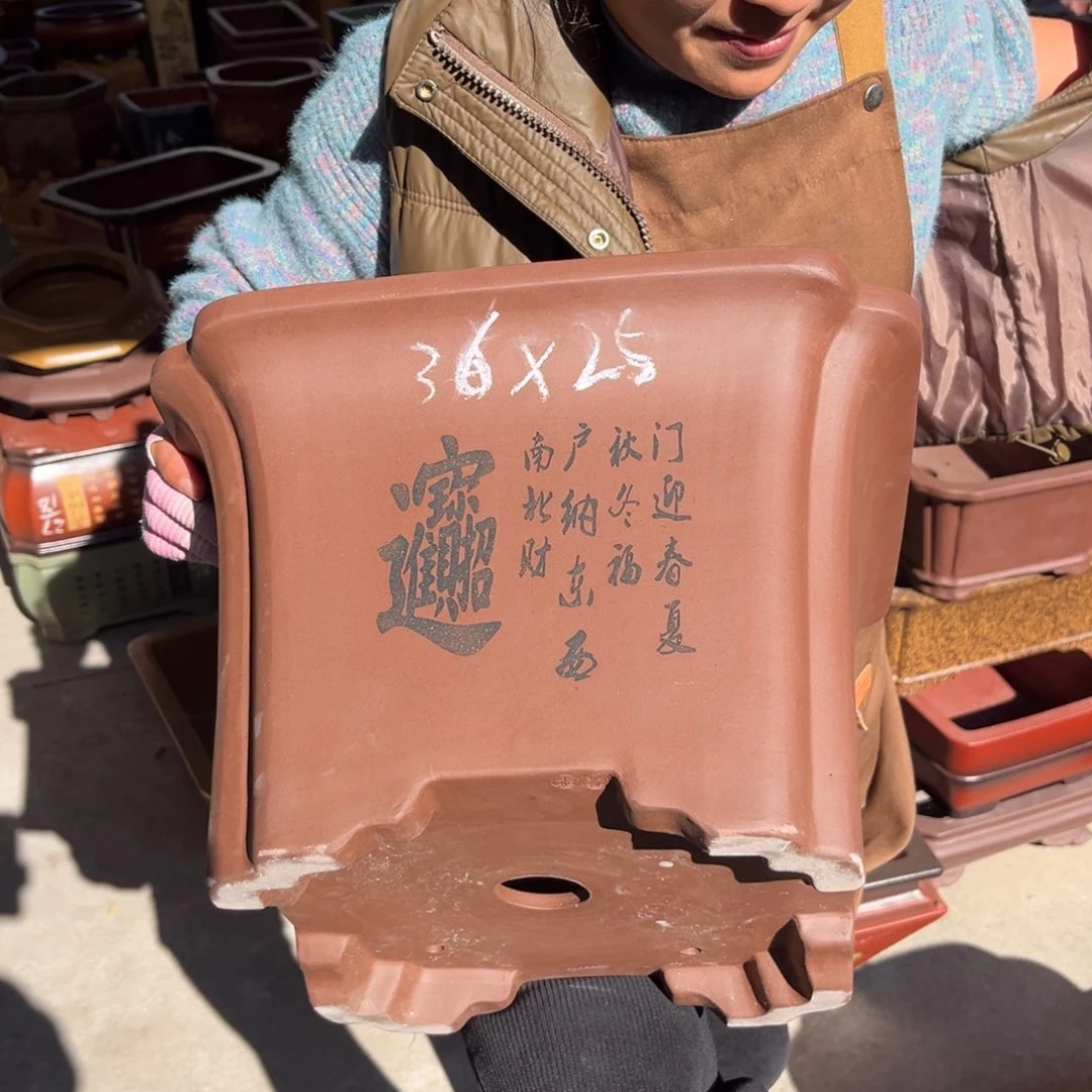 花盆紫砂盆景艺术