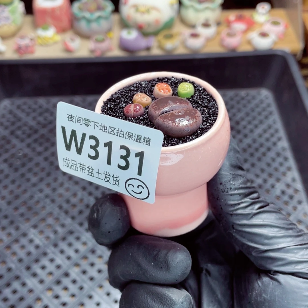 夜间零下地区拍保温箱w3131