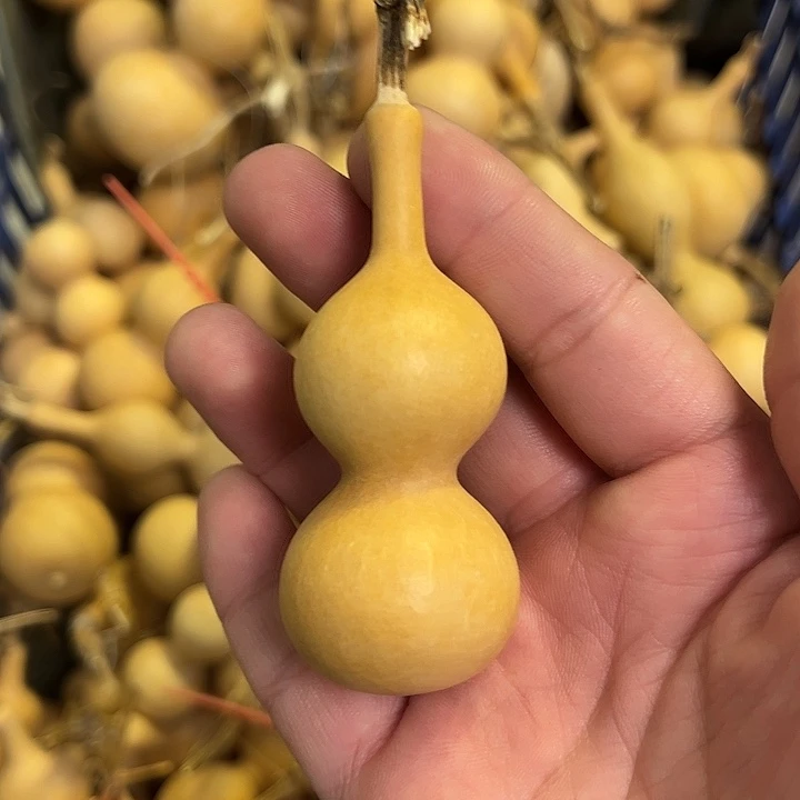 用***3有机玻璃蚂蚁蚂蚁蚂蚁蚂蚁