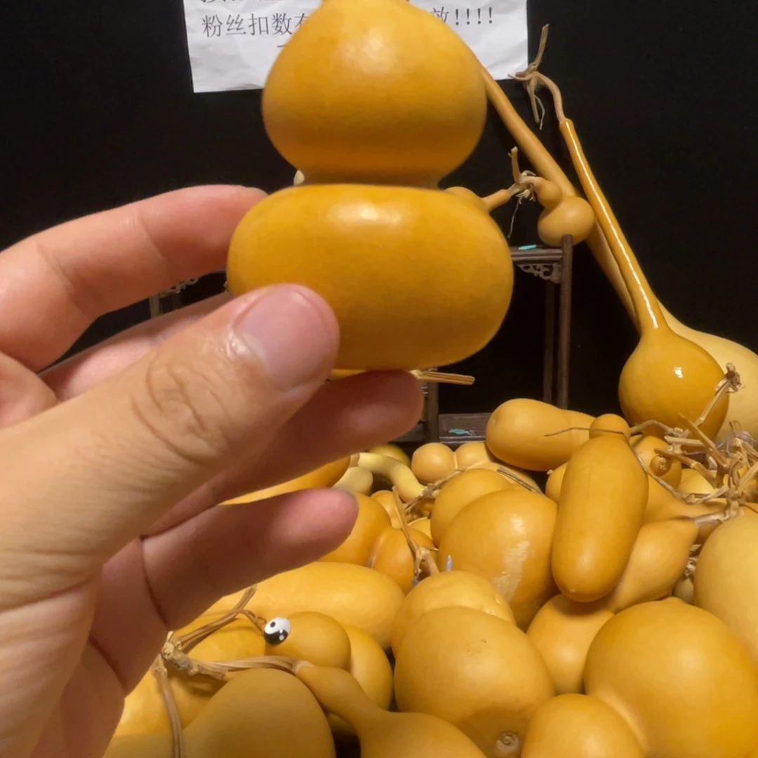 *****6666666666666663366