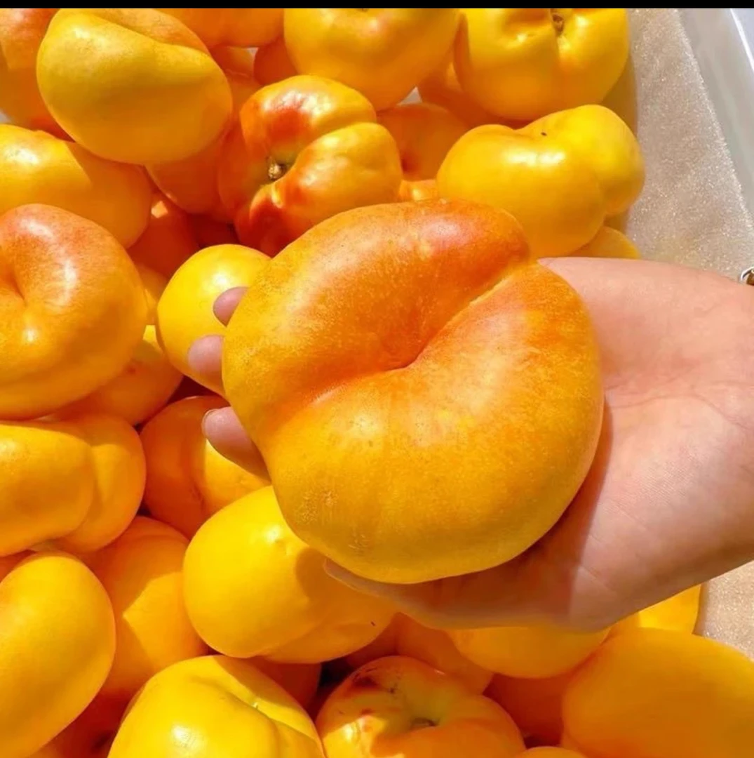 A陕西黄金彩虹油蟠桃香甜脆甜多汁皮薄现摘现发新鲜水果应季水果