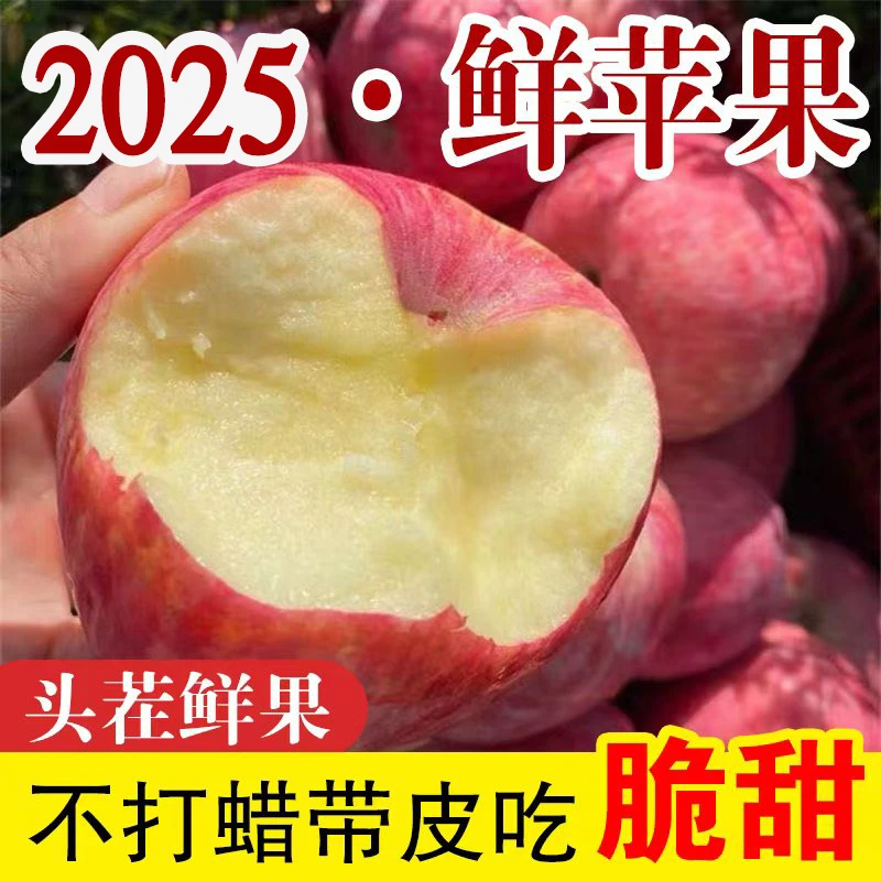 2025年头茬红富士苹果 坏果包赔 多仓发货