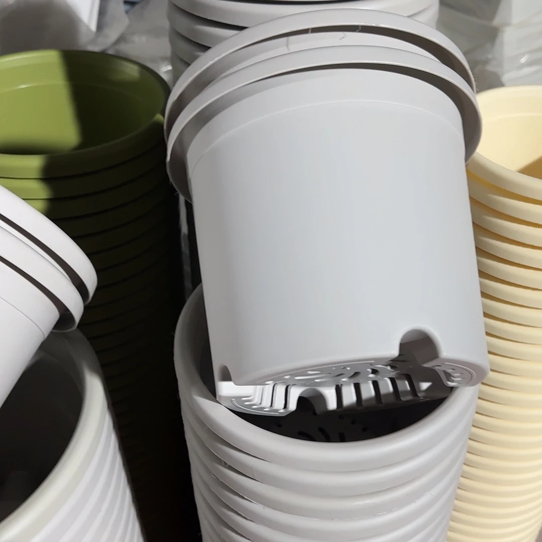 树脂四季3号无托10个灰白微瑕