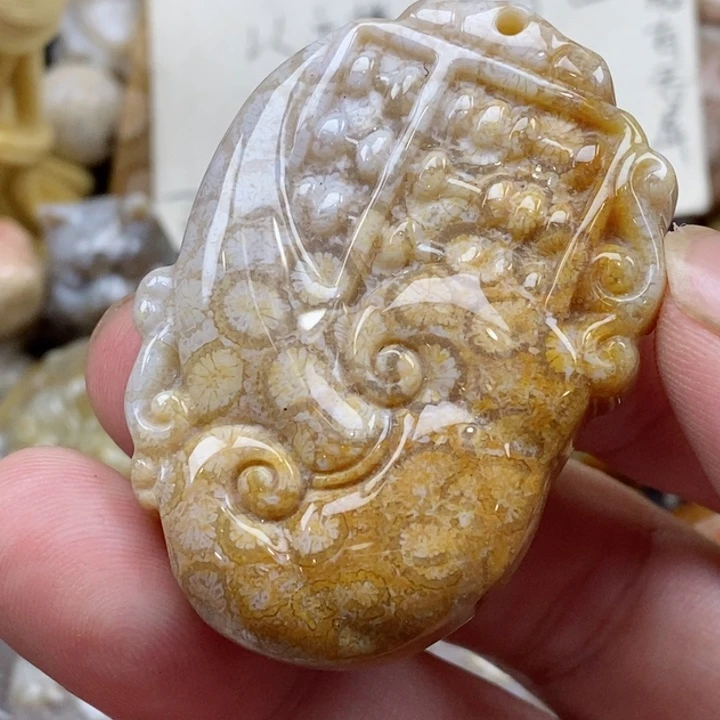 颈饰未镶嵌硅化珊瑚（珊瑚玉）