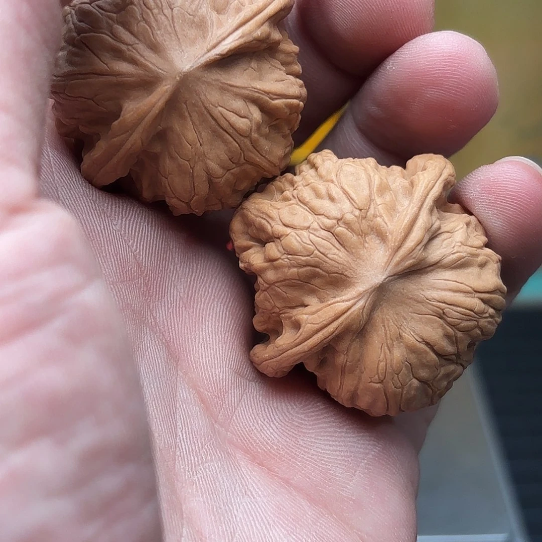 文玩核桃把件38野狼一物一图