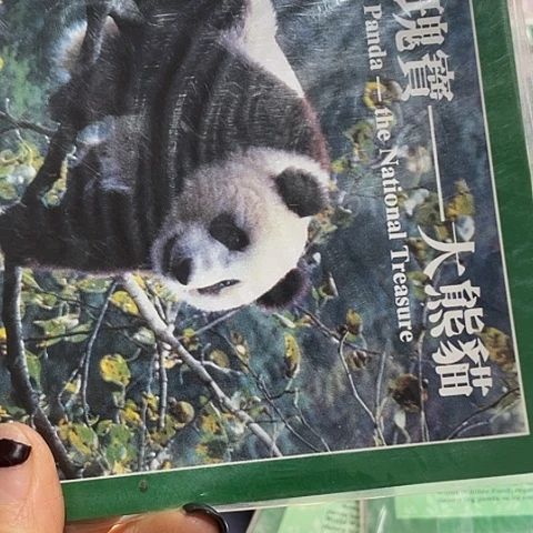 其他普通金属大熊猫绿卡