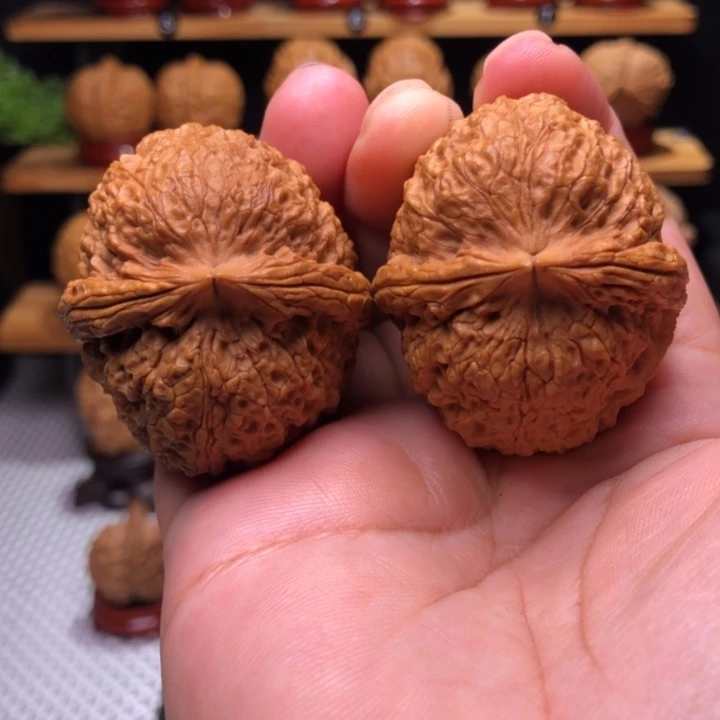 【闪购商品】铁狮子11