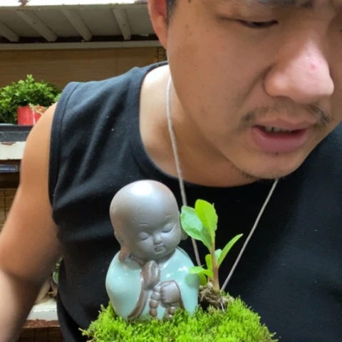 红陶涛**旧一物一拍所见即所得1