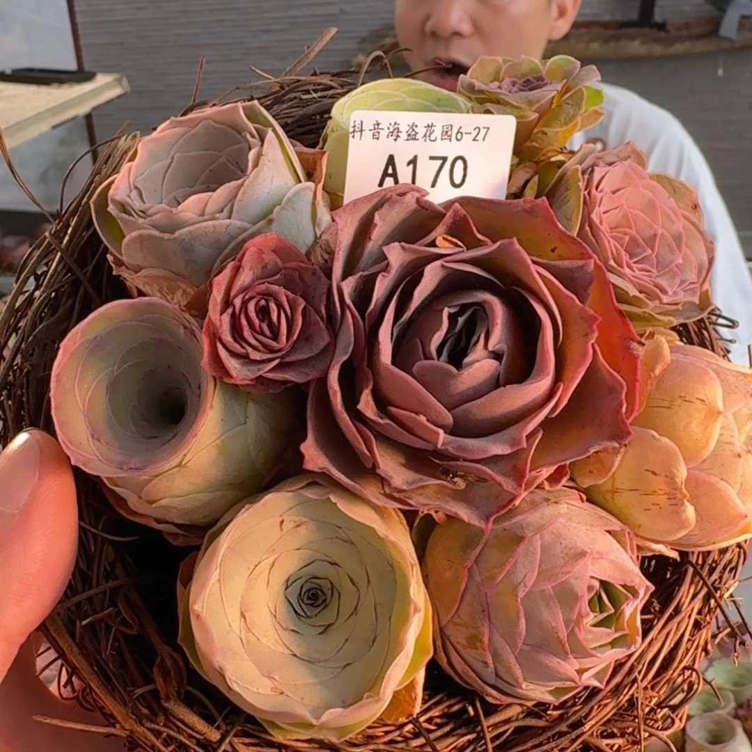 A170 鸟巢花篮玫瑰组合