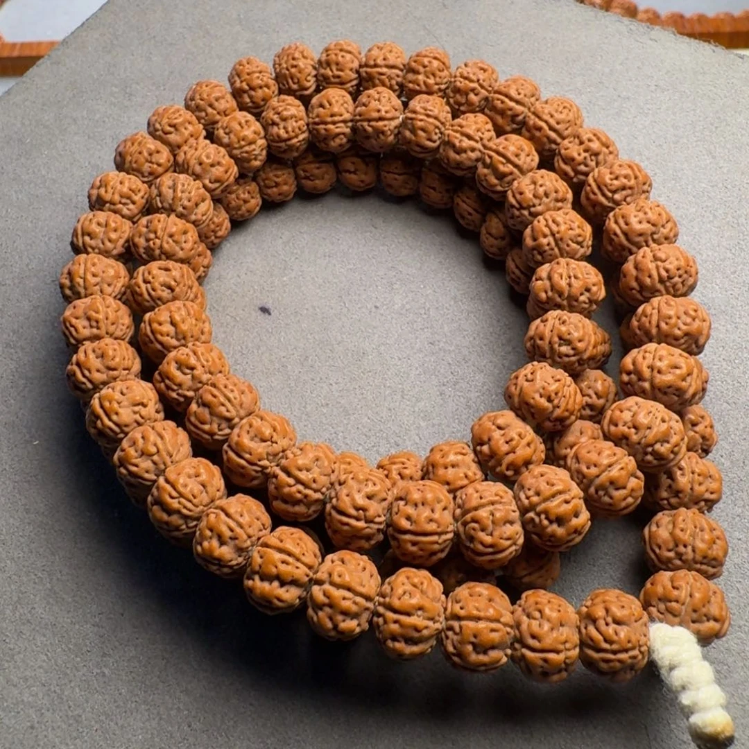 吊坠金刚菩提龙**月树王