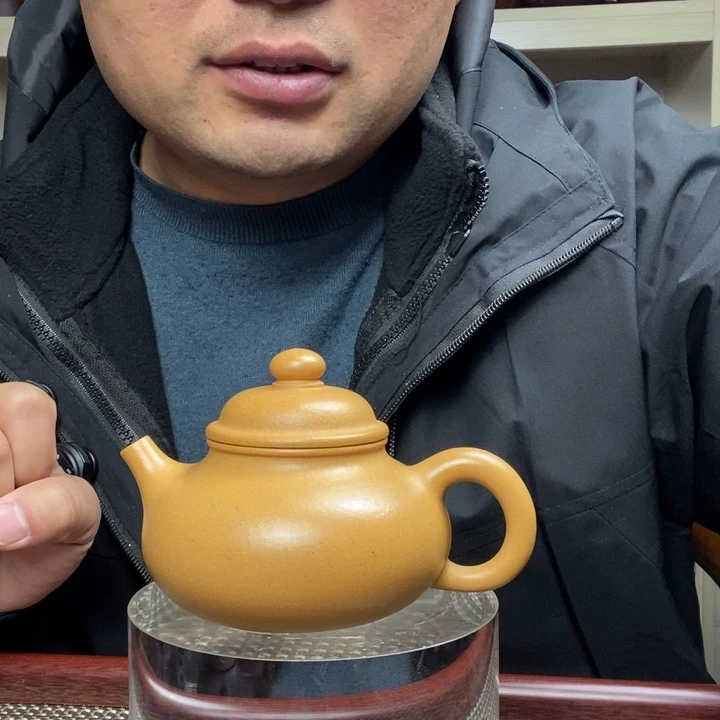 茶壶紫砂12345664889