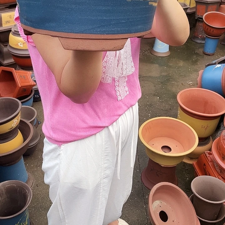 33蓝票口花盆花盆花盆花盆