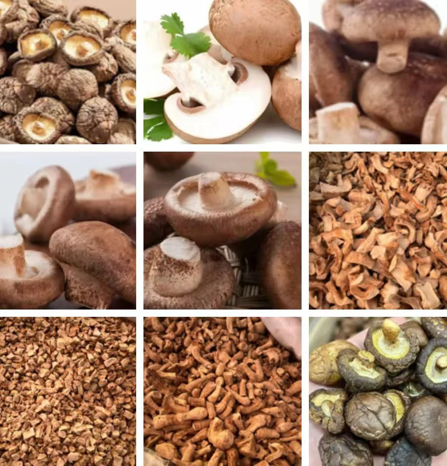 边境山货甄选  香菇K003