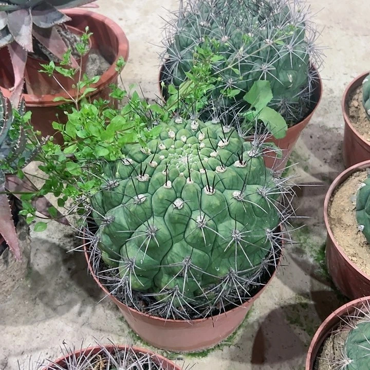 【闪购商品】?****℡