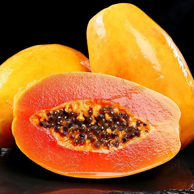 牛奶红心木瓜甜品炖奶女生推荐佳品新鲜现摘水果木瓜香甜可口多汁