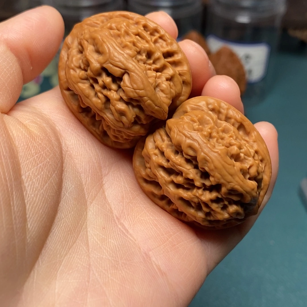 核桃35尺全品九龙